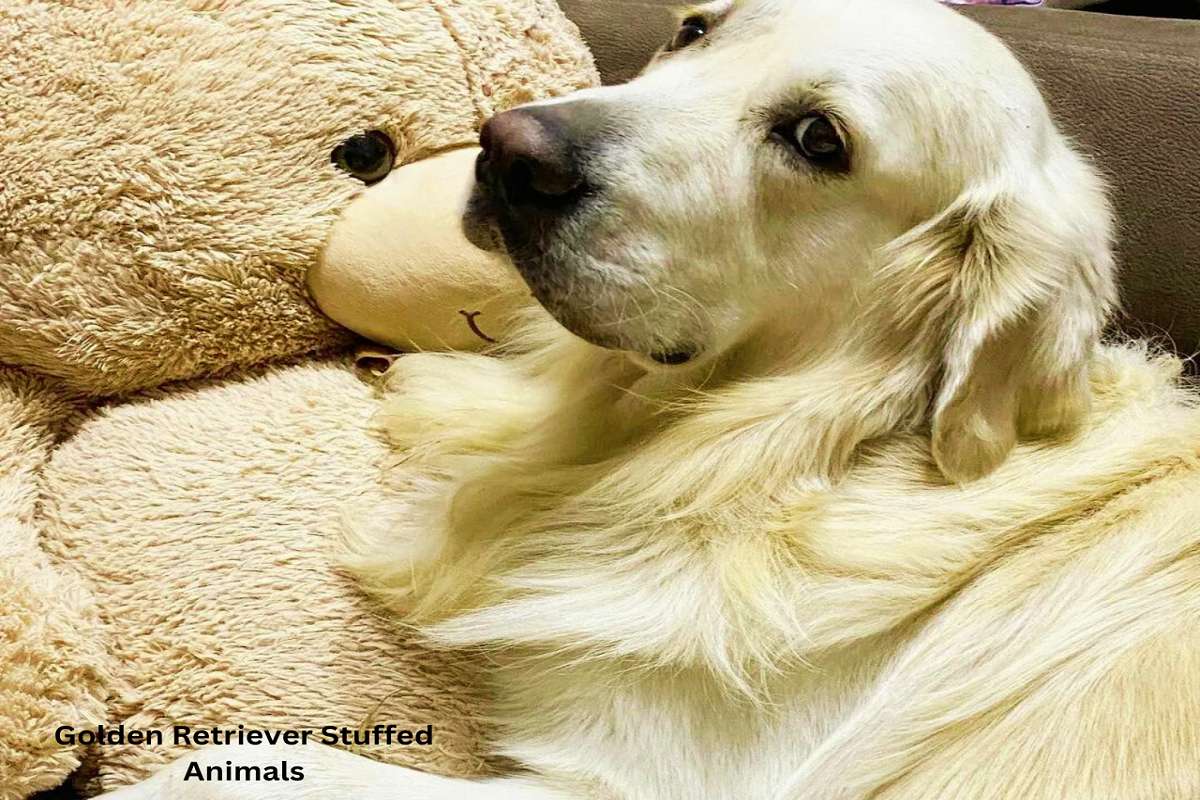 Golden Retriever Stuffed Animals